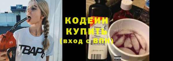мет Ельня