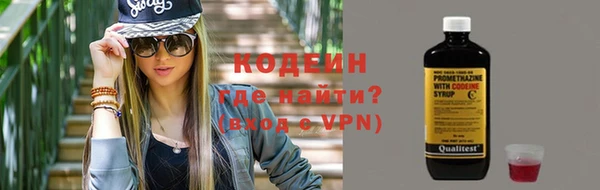 мет Ельня