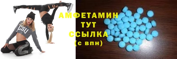 сатива Заводоуковск