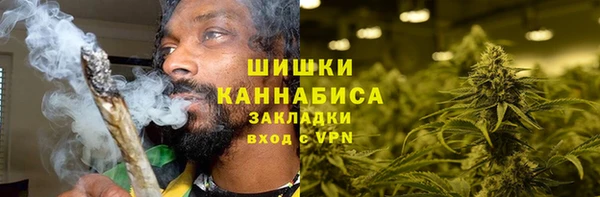 мет Ельня