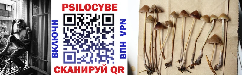 Галлюциногенные грибы Psilocybine cubensis  Купить  Когалым 